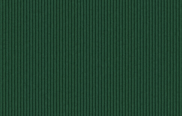 VELOURS COTELE FIN VERT