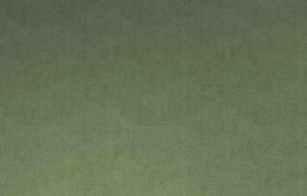 VELOURS VERT JAD